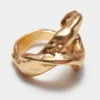Anillo irregular