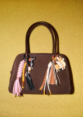 Bolso de bolos
