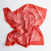 Pañuelo de seda con estampado de cachemira