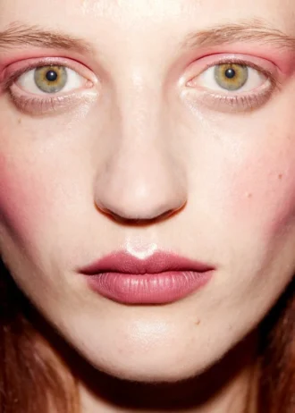 Pétalos secos Pétalos secos para mejillas y labios